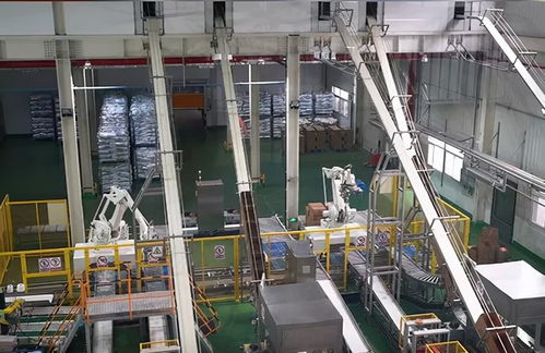 探訪山東乖寶寵物食品工廠 我心目中的御三家寵物食品品牌