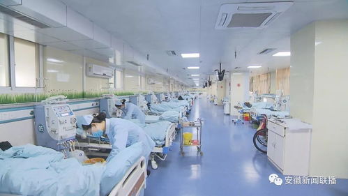 安徽開展省屬公立醫(yī)療機(jī)構(gòu)部分常用藥及第二批抗癌藥集中帶量采購議價(jià)政策解讀